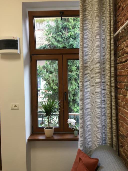 Apartment Ferdinand Art Cluj-Napoca